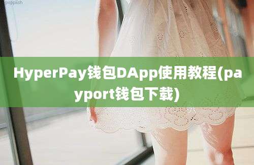 HyperPay钱包DApp使用教程(payport钱包下载)