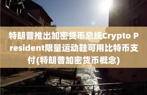 特朗普推出加密货币总统Crypto President限量运动鞋可用比特币支付(特朗普加密货币概念)