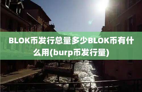 BLOK币发行总量多少BLOK币有什么用(burp币发行量)