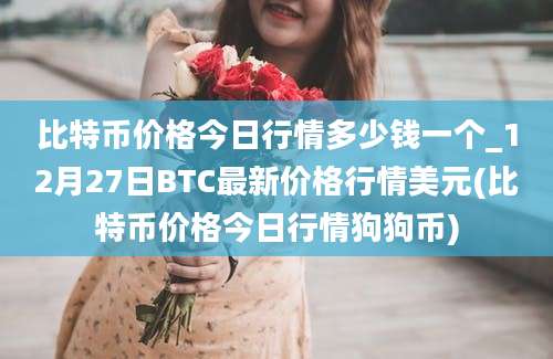 比特币价格今日行情多少钱一个_12月27日BTC最新价格行情美元(比特币价格今日行情狗狗币)