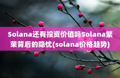 Solana还有投资价值吗Solana繁荣背后的隐忧(solana价格趋势)