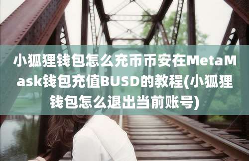 小狐狸钱包怎么充币币安在MetaMask钱包充值BUSD的教程(小狐狸钱包怎么退出当前账号)