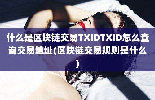 什么是区块链交易TXIDTXID怎么查询交易地址(区块链交易规则是什么)