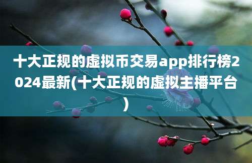 十大正规的虚拟币交易app排行榜2024最新(十大正规的虚拟主播平台)