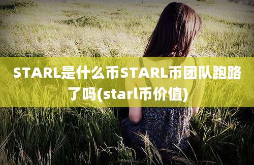 STARL是什么币STARL币团队跑路了吗(starl币价值)