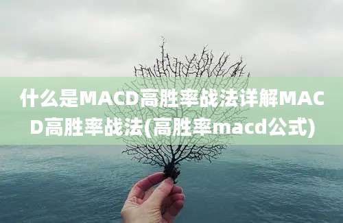 什么是MACD高胜率战法详解MACD高胜率战法(高胜率macd公式)