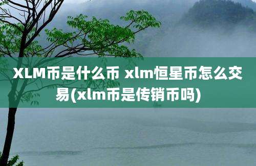 XLM币是什么币 xlm恒星币怎么交易(xlm币是传销币吗)