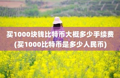 买1000块钱比特币大概多少手续费(买1000比特币是多少人民币)