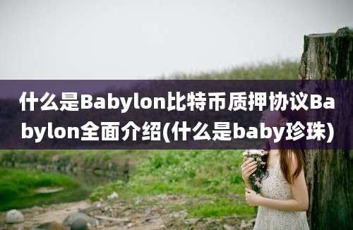 什么是Babylon比特币质押协议Babylon全面介绍(什么是baby珍珠)