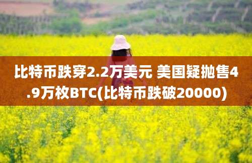 比特币跌穿2.2万美元 美国疑抛售4.9万枚BTC(比特币跌破20000)