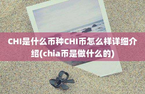 CHI是什么币种CHI币怎么样详细介绍(chia币是做什么的)