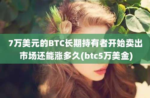 7万美元的BTC长期持有者开始卖出 市场还能涨多久(btc5万美金)