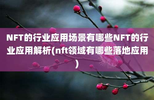 NFT的行业应用场景有哪些NFT的行业应用解析(nft领域有哪些落地应用)