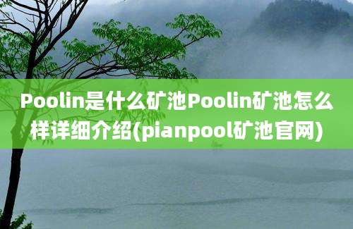 Poolin是什么矿池Poolin矿池怎么样详细介绍(pianpool矿池官网)