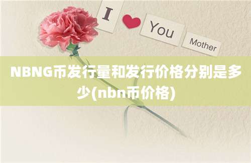 NBNG币发行量和发行价格分别是多少(nbn币价格)