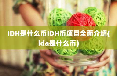 IDH是什么币IDH币项目全面介绍(ida是什么币)