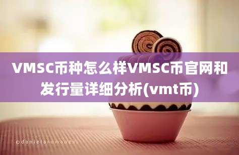 VMSC币种怎么样VMSC币官网和发行量详细分析(vmt币)