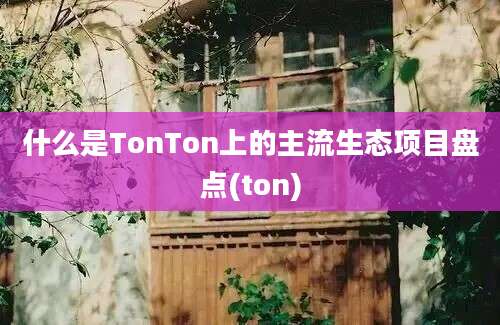 什么是TonTon上的主流生态项目盘点(ton)