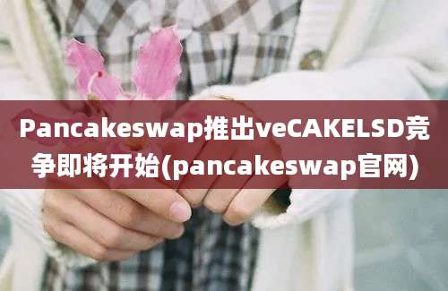 Pancakeswap推出veCAKELSD竞争即将开始(pancakeswap官网)