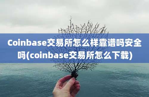 Coinbase交易所怎么样靠谱吗安全吗(coinbase交易所怎么下载)