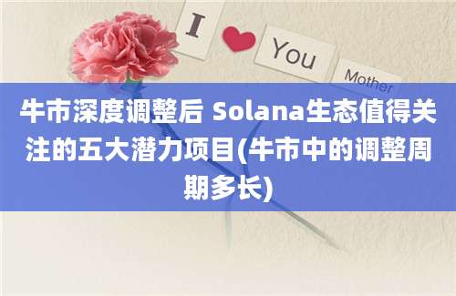 牛市深度调整后 Solana生态值得关注的五大潜力项目(牛市中的调整周期多长)