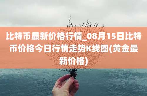 比特币最新价格行情_08月15日比特币价格今日行情走势K线图(黄金最新价格)