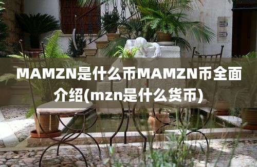 MAMZN是什么币MAMZN币全面介绍(mzn是什么货币)