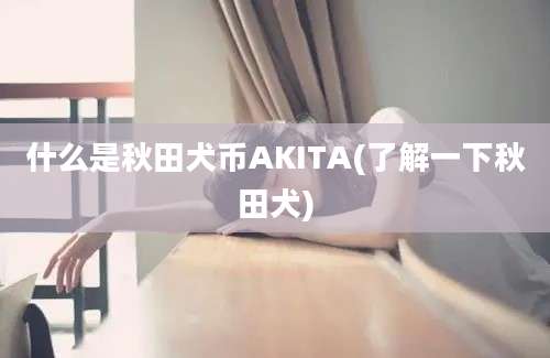 什么是秋田犬币AKITA(了解一下秋田犬)