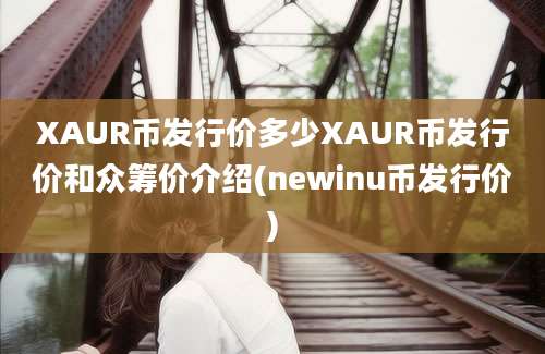 XAUR币发行价多少XAUR币发行价和众筹价介绍(newinu币发行价)