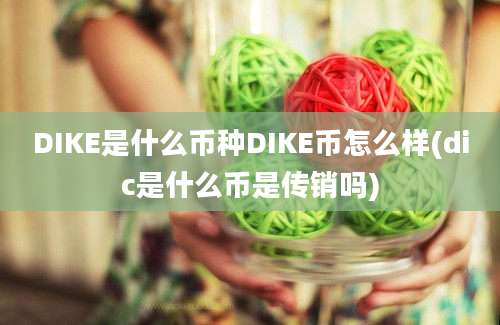 DIKE是什么币种DIKE币怎么样(dic是什么币是传销吗)