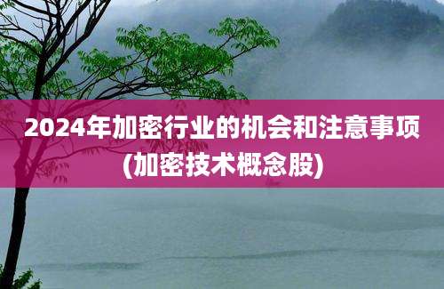 2024年加密行业的机会和注意事项(加密技术概念股)