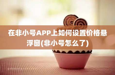 在非小号APP上如何设置价格悬浮窗(非小号怎么了)