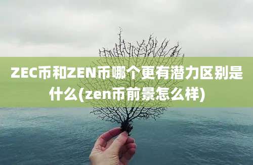 ZEC币和ZEN币哪个更有潜力区别是什么(zen币前景怎么样)