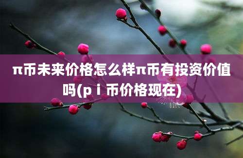 π币未来价格怎么样π币有投资价值吗(pⅰ币价格现在)