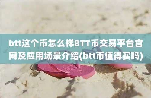 btt这个币怎么样BTT币交易平台官网及应用场景介绍(btt币值得买吗)