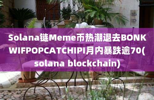 Solana链Meme币热潮退去BONKWIFPOPCATCHIPI月内暴跌逾70(solana blockchain)