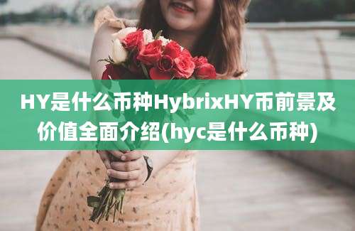 HY是什么币种HybrixHY币前景及价值全面介绍(hyc是什么币种)