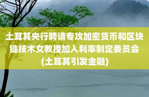 土耳其央行聘请专攻加密货币和区块链技术女教授加入利率制定委员会(土耳其引发金融)