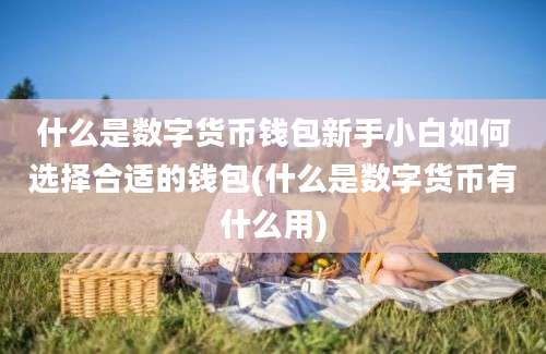 什么是数字货币钱包新手小白如何选择合适的钱包(什么是数字货币有什么用)