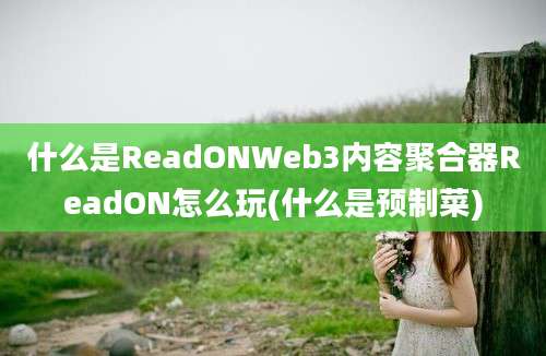 什么是ReadONWeb3内容聚合器ReadON怎么玩(什么是预制菜)