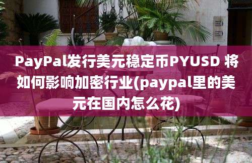 PayPal发行美元稳定币PYUSD 将如何影响加密行业(paypal里的美元在国内怎么花)