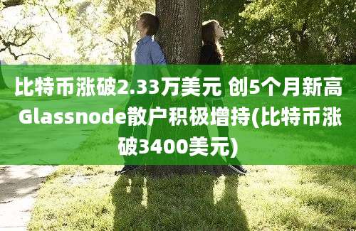 比特币涨破2.33万美元 创5个月新高 Glassnode散户积极增持(比特币涨破3400美元)