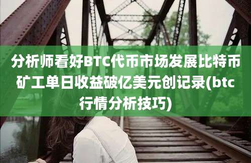 分析师看好BTC代币市场发展比特币矿工单日收益破亿美元创记录(btc行情分析技巧)