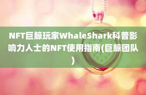 NFT巨鲸玩家WhaleShark科普影响力人士的NFT使用指南(巨鲸团队)