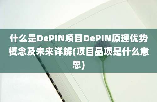 什么是DePIN项目DePIN原理优势概念及未来详解(项目品项是什么意思)