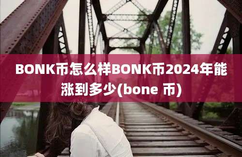 BONK币怎么样BONK币2024年能涨到多少(bone 币)