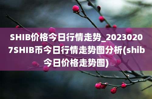 SHIB价格今日行情走势_20230207SHIB币今日行情走势图分析(shib今日价格走势图)