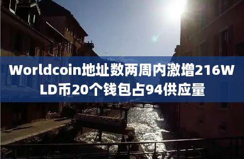 Worldcoin地址数两周内激增216WLD币20个钱包占94供应量