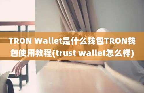 TRON Wallet是什么钱包TRON钱包使用教程(trust wallet怎么样)