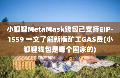 小狐狸MetaMask钱包已支持EIP-1559 一文了解新版矿工GAS费(小狐狸钱包是哪个国家的)